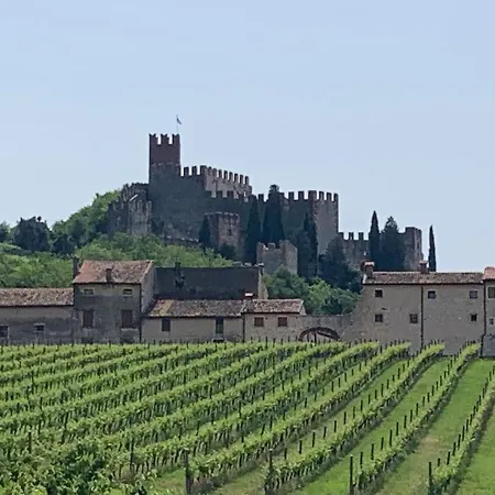 House Alle Vigne-2-luxury Appartement